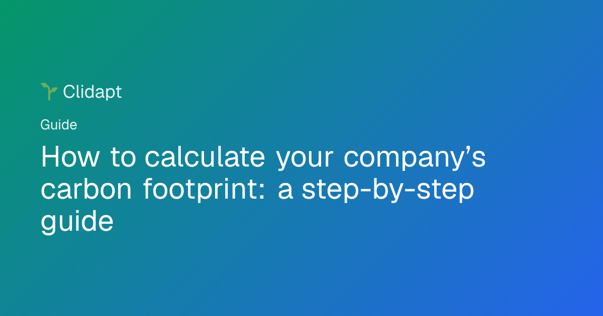 How to calculate your company’s carbon footprint: a step-by-step guide ...